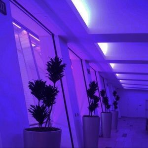 Meet your Posher, Savannah